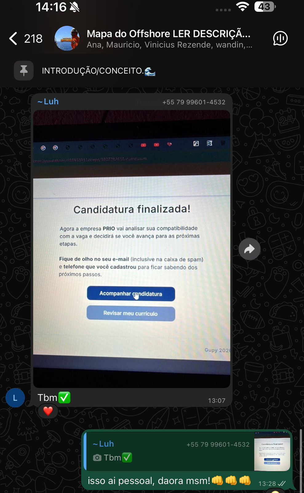 Depoimento - candidatura finalizada